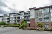 204 19567 64 AVENUE - thumbnail 39