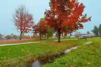 12646 E 114 AVENUE - thumbnail 3
