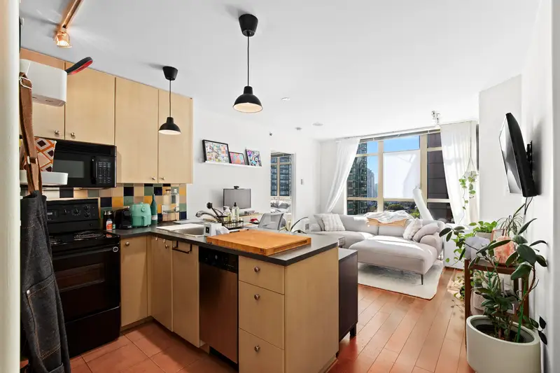 1105 819 HAMILTON STREET - photo 4 of 18