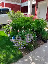84 19505 68A AVENUE - thumbnail 2