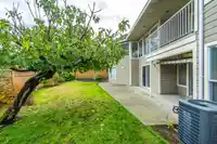 10742 WALNUT CLOSE - thumbnail 39