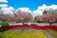 14932 98A AVENUE - thumbnail 11
