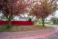 14932 98A AVENUE - thumbnail 39