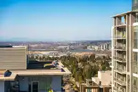 3511 13350 CENTRAL AVENUE - thumbnail 25