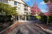 204 13727 74 AVENUE - thumbnail 2