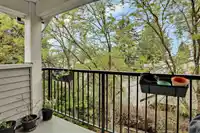 40 13239 OLD YALE ROAD - thumbnail 18