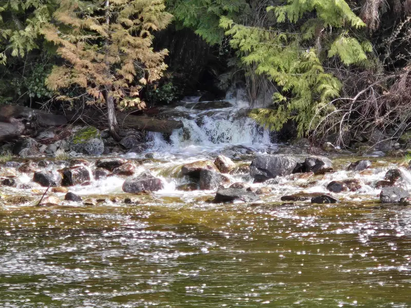 Lot 4 WILLIAMS LANDING - photo 4 of 25