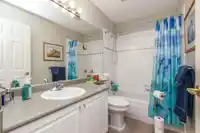 54 6488 168 STREET - thumbnail 23