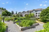 309 16380 64 AVENUE - thumbnail 5