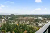 3506 9887 WHALLEY BOULEVARD - thumbnail 10