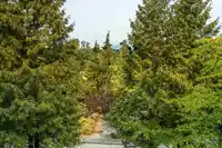 208 16477 64 AVENUE - thumbnail 28