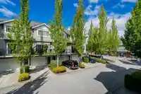 16 5988 OLD MCLELLAN ROAD - thumbnail 10
