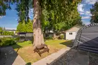 10954 145A STREET - thumbnail 33