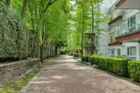 A202 9868 WHALLEY BOULEVARD - thumbnail 18