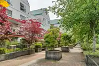 A202 9868 WHALLEY BOULEVARD - thumbnail 20