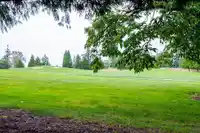 39 16655 64 AVENUE - thumbnail 12