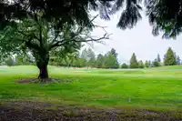39 16655 64 AVENUE - thumbnail 31