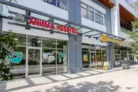429 15956 86A AVENUE - thumbnail 32