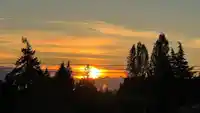 401 10455 154 STREET - thumbnail 27