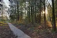 208 16488 64 AVENUE - thumbnail 30