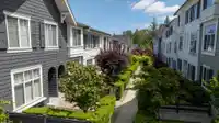 52 8130 136A STREET - thumbnail 31