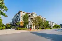 401 6480 195A STREET - thumbnail 2