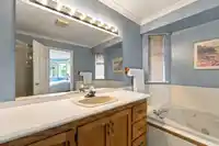 10536 BIRCHTREE GROVE - thumbnail 26