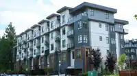 13902 LAUREL DRIVE - thumbnail 29