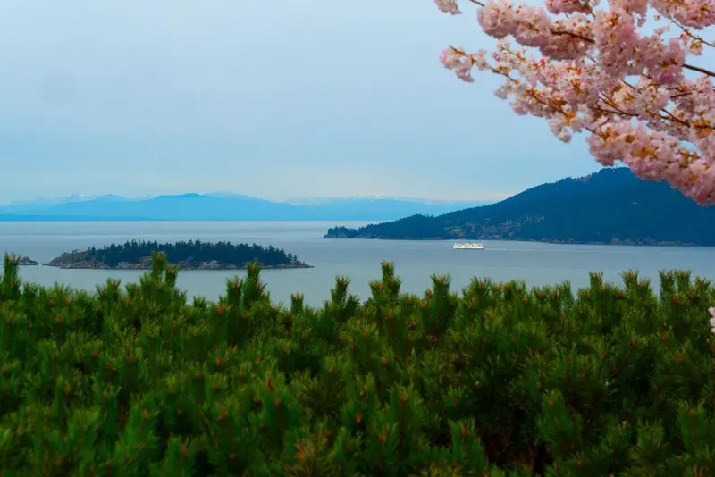 5436 WESTHAVEN PLACE - photo 1 of 25