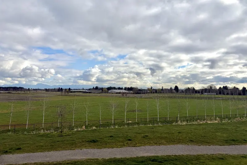 202 6233 LONDON ROAD - photo 1 of 5