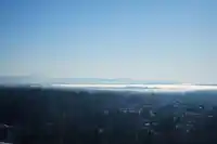 2710 13655 FRASER HIGHWAY - thumbnail 12