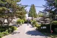 3 10056 154 STREET - thumbnail 30