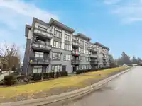 207 9983 E BARNSTON DRIVE - thumbnail 33