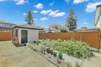 12242 98A AVENUE - thumbnail 38
