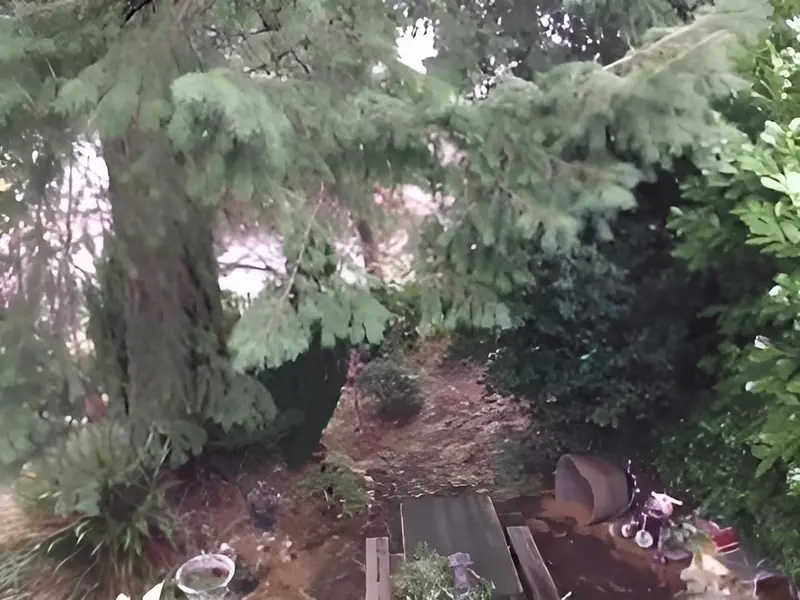 8479 SELKIRK STREET - photo 4 of 5