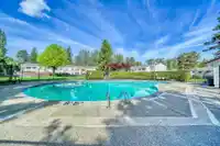 117 14159 104 AVENUE - thumbnail 36