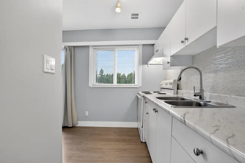 18 21555 DEWDNEY TRUNK ROAD - photo 4 of 21