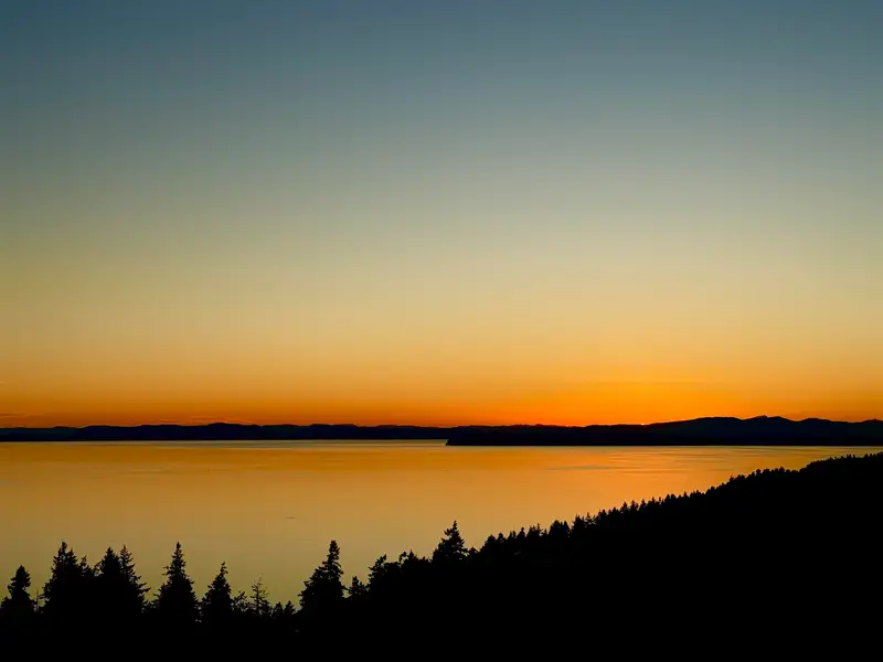 1804 1501 FOSTER STREET - photo 1 of 25