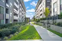 614 15858 FRASER HIGHWAY - thumbnail 24