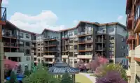 307 11063 RAVINE ROAD - thumbnail 12