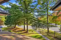 10511 HOLLY PARK LANE - thumbnail 20
