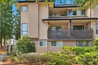 10511 HOLLY PARK LANE - thumbnail 22