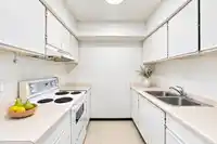 10511 HOLLY PARK LANE - thumbnail 9