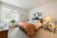 241 7156 121 STREET - thumbnail 25