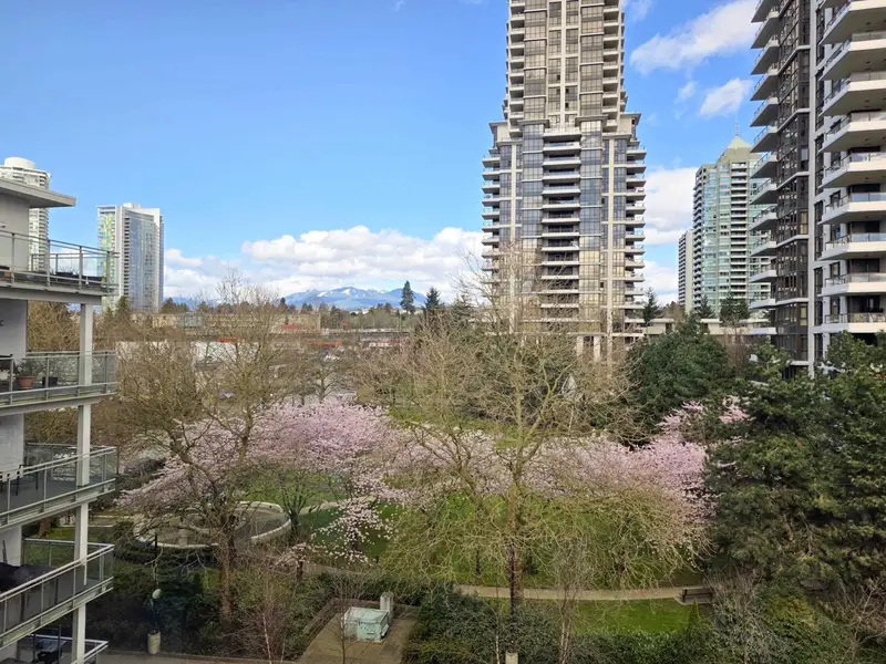 515 2188 MADISON AVENUE - photo 3 of 25