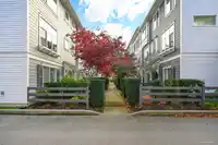 151 15230 GUILDFORD DRIVE - thumbnail 23