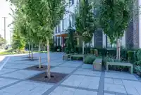 304 15848 FRASER HIGHWAY - thumbnail 5