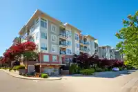 304 15956 86A AVENUE - thumbnail 2