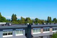 304 15956 86A AVENUE - thumbnail 35