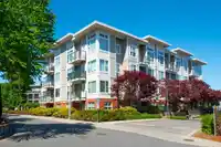 304 15956 86A AVENUE - thumbnail 37